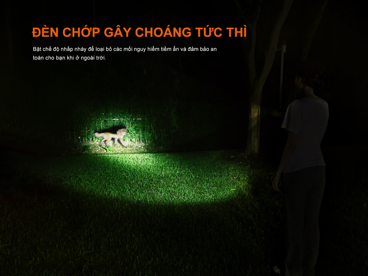 Đèn Pin Fenix LD35R 7 LD35R E 07 copy Chuyentactical.com