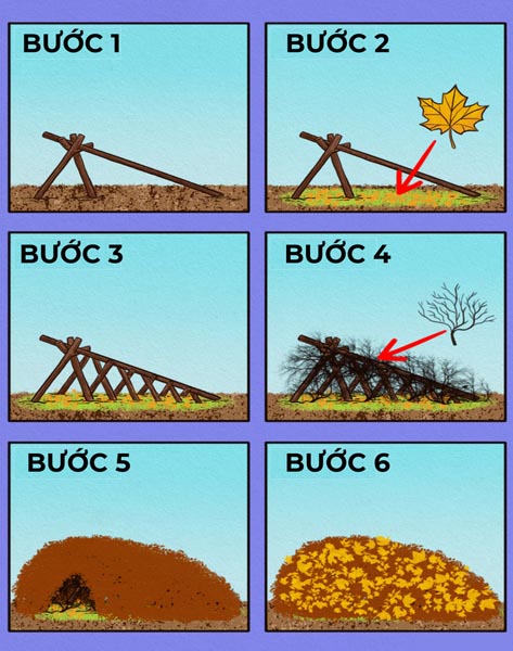 Kỹ năng sinh tồn trong rừng bạn nên biết 15 Tìm nơi trú ẩn cách sinh tồn