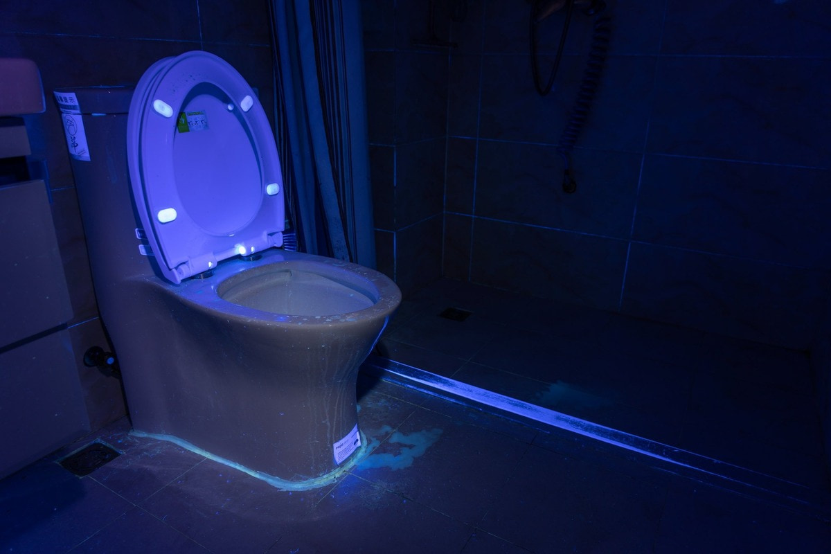 Đèn pin UV được sử dụng để kiểm tra vết nước tiểu của thú cưng hoặc dịch cơ thể trong ngành y tế Đèn pin UV được sử dụng để kiểm tra vết nước tiểu của thú cưng hoặc dịch cơ thể trong ngành y tế