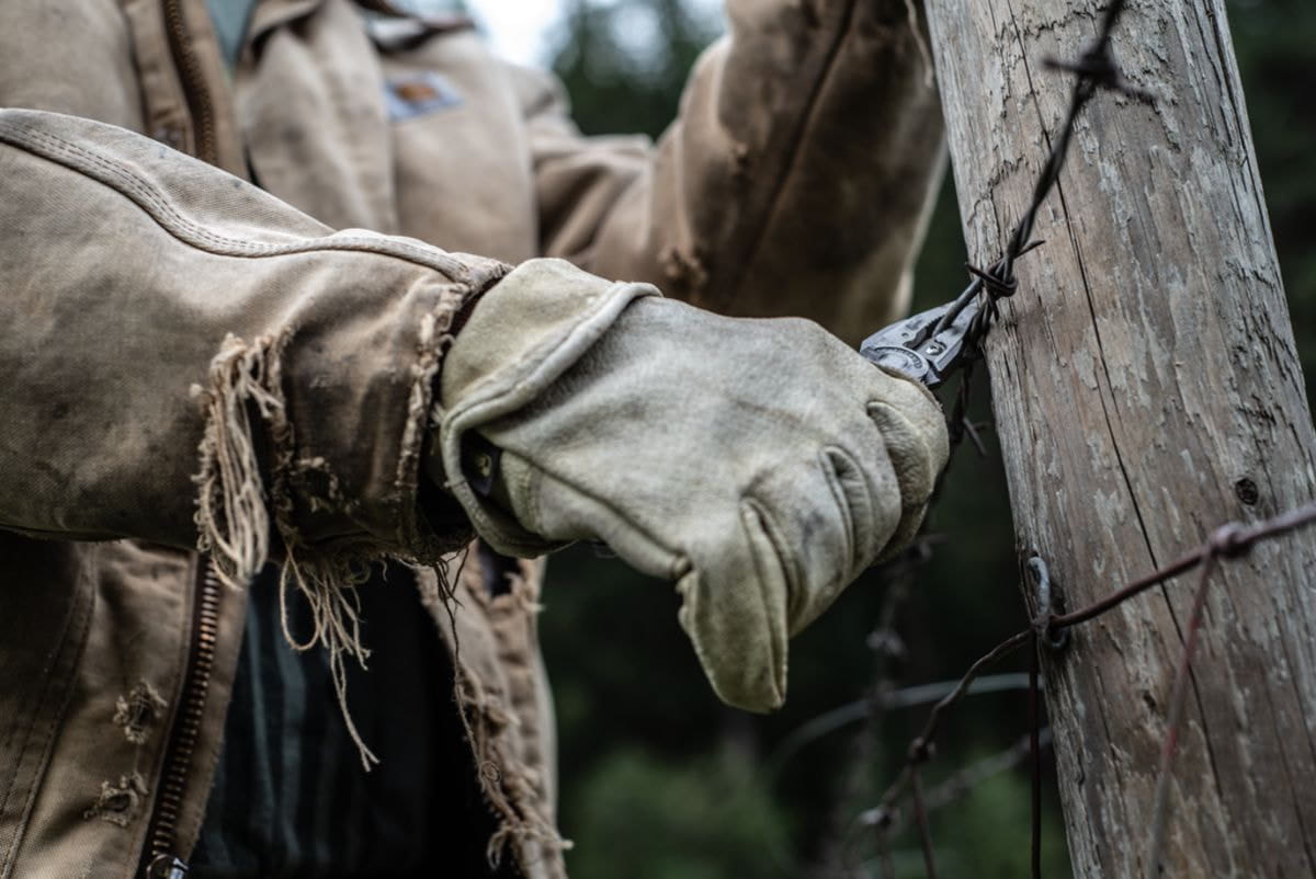 Kìm có tổng cộng 6 chức năng kim co tong cong 6 chuc nang