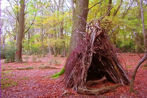 Kỹ năng sinh tồn trong rừng bạn nên biết 16 kỹ năng sống trong rừng