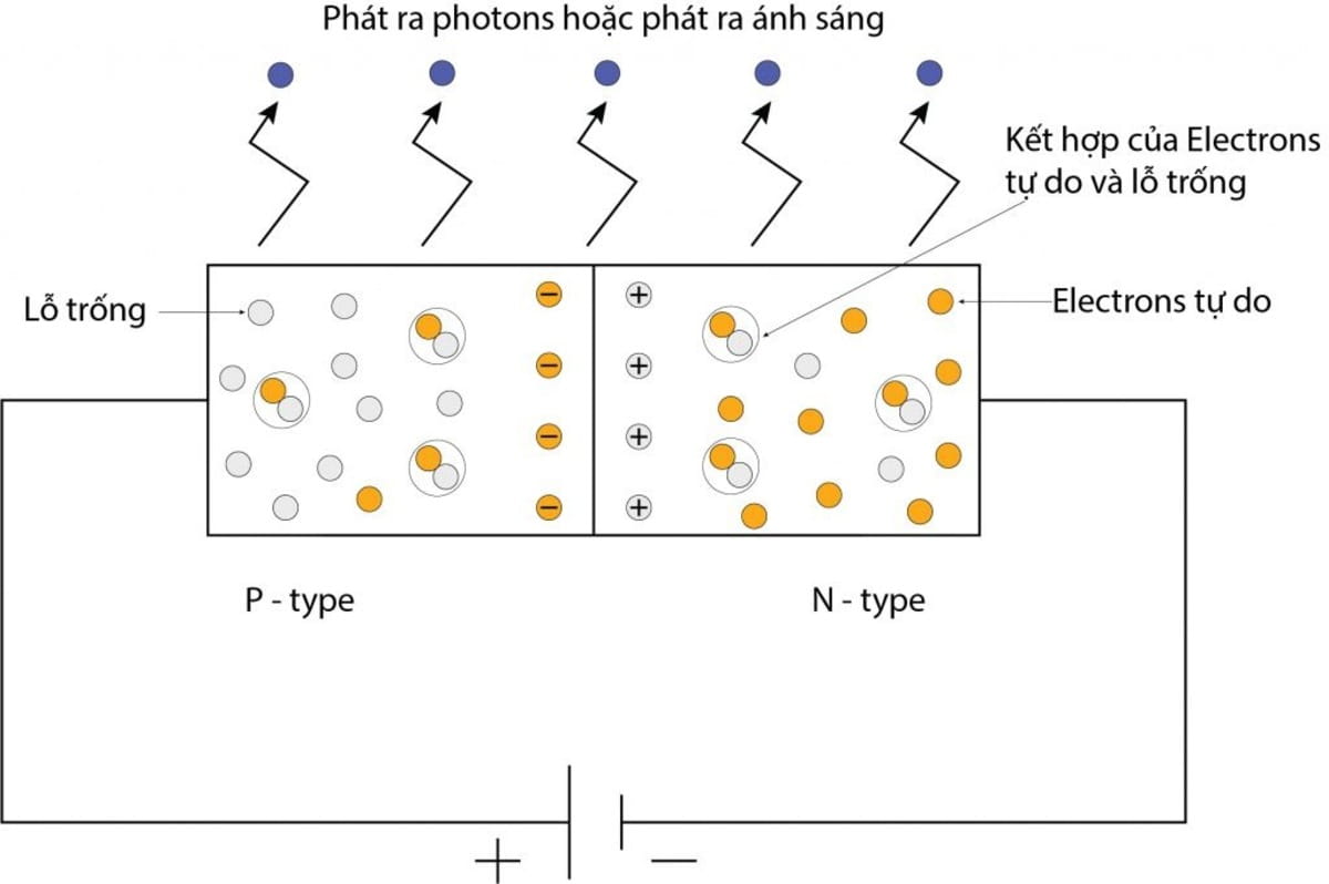 Chip LED có cấu tạo gồm hai khối bán dẫn loại P chứa lỗ trống và khối bán dẫn N chứa nhiều điện tích dương Chip LED có cấu tạo gồm hai khối bán dẫn loại P chứa lỗ trống và khối bán dẫn N chứa nhiều điện tích dương