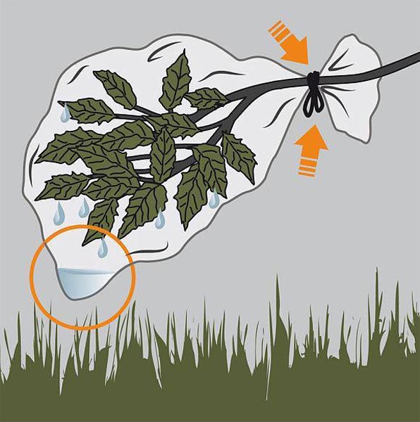 Kỹ năng sinh tồn trong rừng bạn nên biết 12 Sử dụng túi nilong ky nang sinh ton trong rung