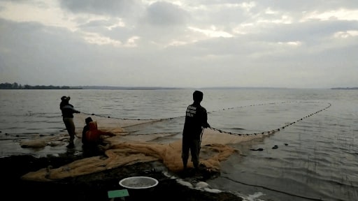 Mách bạn kinh nghiệm cắm trại Hồ Trị An 2 ngày 1 đêm cực chill 11 du lịch hồ trị an