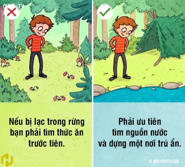 Kỹ năng sinh tồn trong rừng bạn nên biết 10 tìm kiếm nguồn nước sạch khi đi rừng