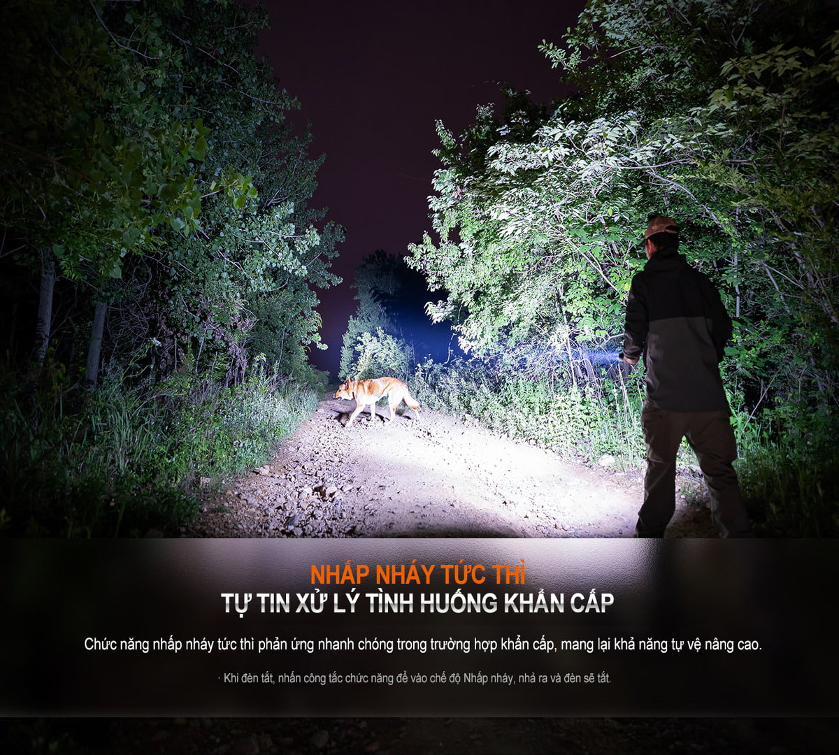 Đèn Pin chiếu xa Fenix HT32 8 den pin fenix HT32 8