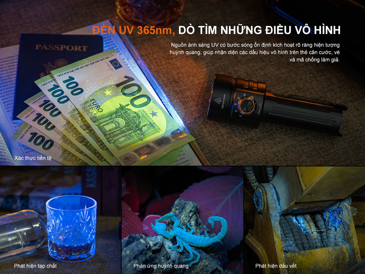 C16 E 07 copy